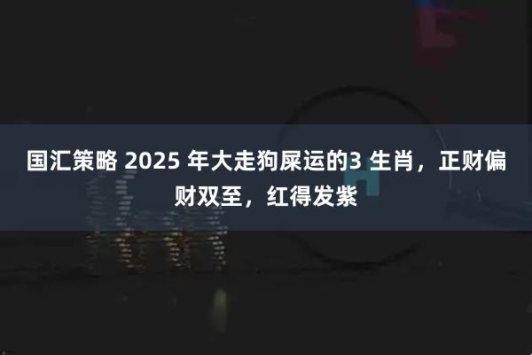 国汇策略 2025 年大走狗屎运的3 生肖，正财偏财双至，红得发紫