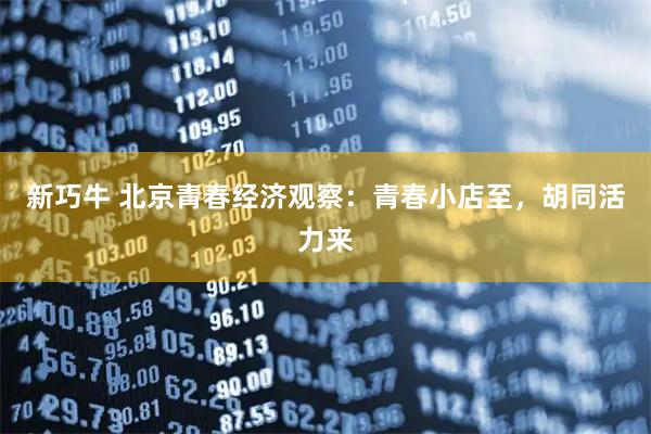 新巧牛 北京青春经济观察：青春小店至，胡同活力来